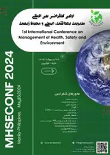 Poster of 1st International Conference on Management of Health, Safety and Environment