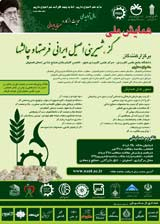 Poster of National Conerence Of Gaz and Technomart,Persian Challenges & Original Sweets-opportunities
