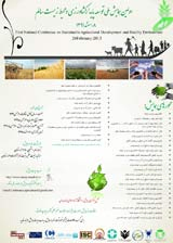 Poster of First National Conference on Sustainable Agricultural Development and Healthy Environment