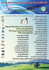 Poster of The first national conference planning, conservation, environmental protection, sustainable development