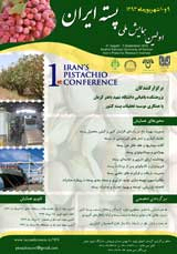 Poster of 1st Iran`s Pistachio Conference