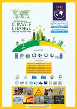 Poster of Conference on Climate Change and a Road to a Sustainable Future