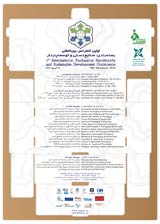 Poster of The First International Packaging Handicrafts and Sustainable Development Conference 