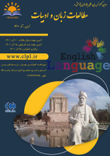 Poster of The second international conference on research findings in language and literature studies