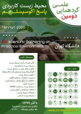 Poster of 2st Scientific Gathering on Practical Environment