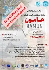 Poster of International Conference on Hamun Wetlands Environment