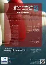 Poster of 1st International Conference on Critical Business issue in Leading, Managing and Marketing