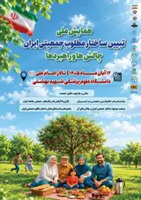 Poster of Explaining the Optimal Demographic Structure of Iran: Challenges and Strategies