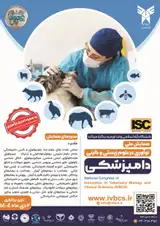 Poster of Innovation in Veterinary Bio and Clinical Sciences (IVBCS)