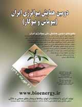 Poster of 2nd Iranian Bioenergy Conference
