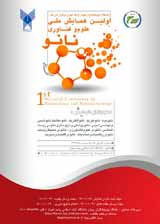 Poster of 1st National Conference on NanoScience and Nanotechnology