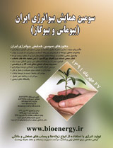 Poster of 3rd Iranian Bioenergy Conference