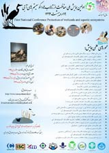 Poster of First National Conference of wetlands and aquatic ecosystem