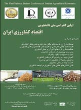 Poster of The First National Student Conference of Iranian Agricultural Economics