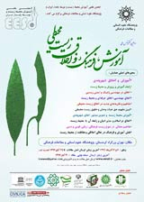Poster of The first national conference on education, culture and environmental ethics