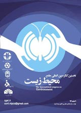 Poster of The first comprehensive international conference on the environment