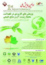 Poster of 1st National Conference on Maintenance of Environment, Water and Natural Resources