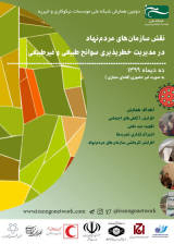 Poster of Conference on the role of non-governmental organizations in risk management of natural and unnatural disasters