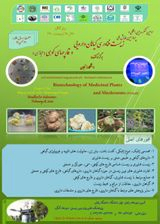 Poster of 3rd International Congress and 4th National Conference on Biotechnology of Medicinal Plants and Mountain Fungi (Virtual)
