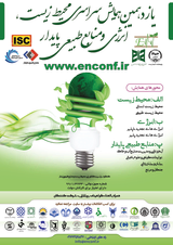 Poster of The 11th National Conference on Environment,Energy and Sustainable Natural Resources