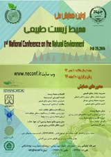 Poster of The first national conference on natural environment