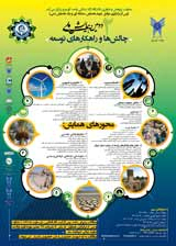 Poster of دومین همایش ملی چالش ها و راهکارهای توسعه The second national conference on development challenges and solutions