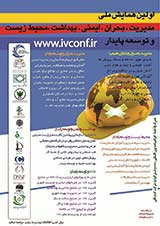 Poster of First National Conference on Crisis Management, Safety, Health, Environment and Sustainable Development