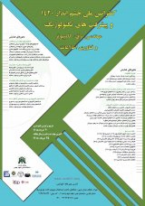 Poster of The National Conference on 2041 Vision and Technological Developments in Electrical Engineering, Computer, and Information Technology
