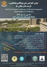 Poster of First National Bioelectromagnetic Conference: Opportunities and Challenges