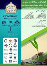 Poster of International Conference on New Horizons in Agriculture, Natural Resources and the Environment