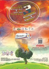 Poster of Third International Nervous System Inflammatory Conference and Third Student Neuroscience Festival